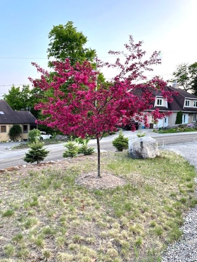 Other - 2713 Rue Du Hameau, Sainte-Adèle, QC - Outdoor