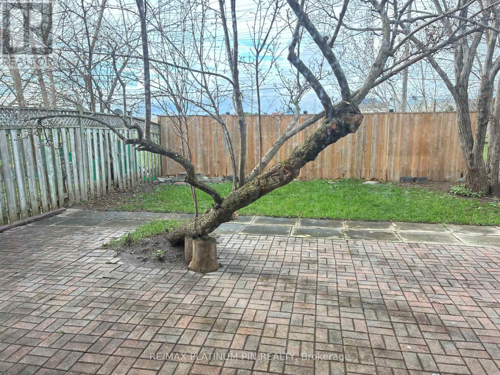 Lower Level - 315 Apache Trail, Toronto, ON - Outdoor