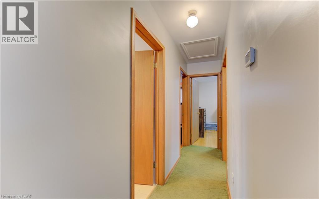 Hallway featuring light-colored walls, a ceiling-mounted light fixture, and green carpeting - 98 Shea Crescent, Kitchener, ON - Indoor Photo Showing Other Room