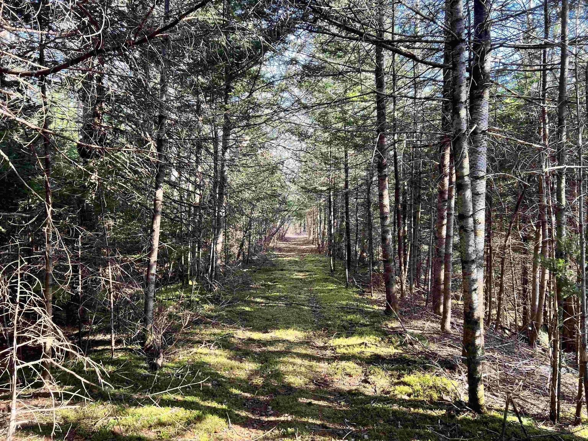 Highway 7 Highway, Stillwater, NS