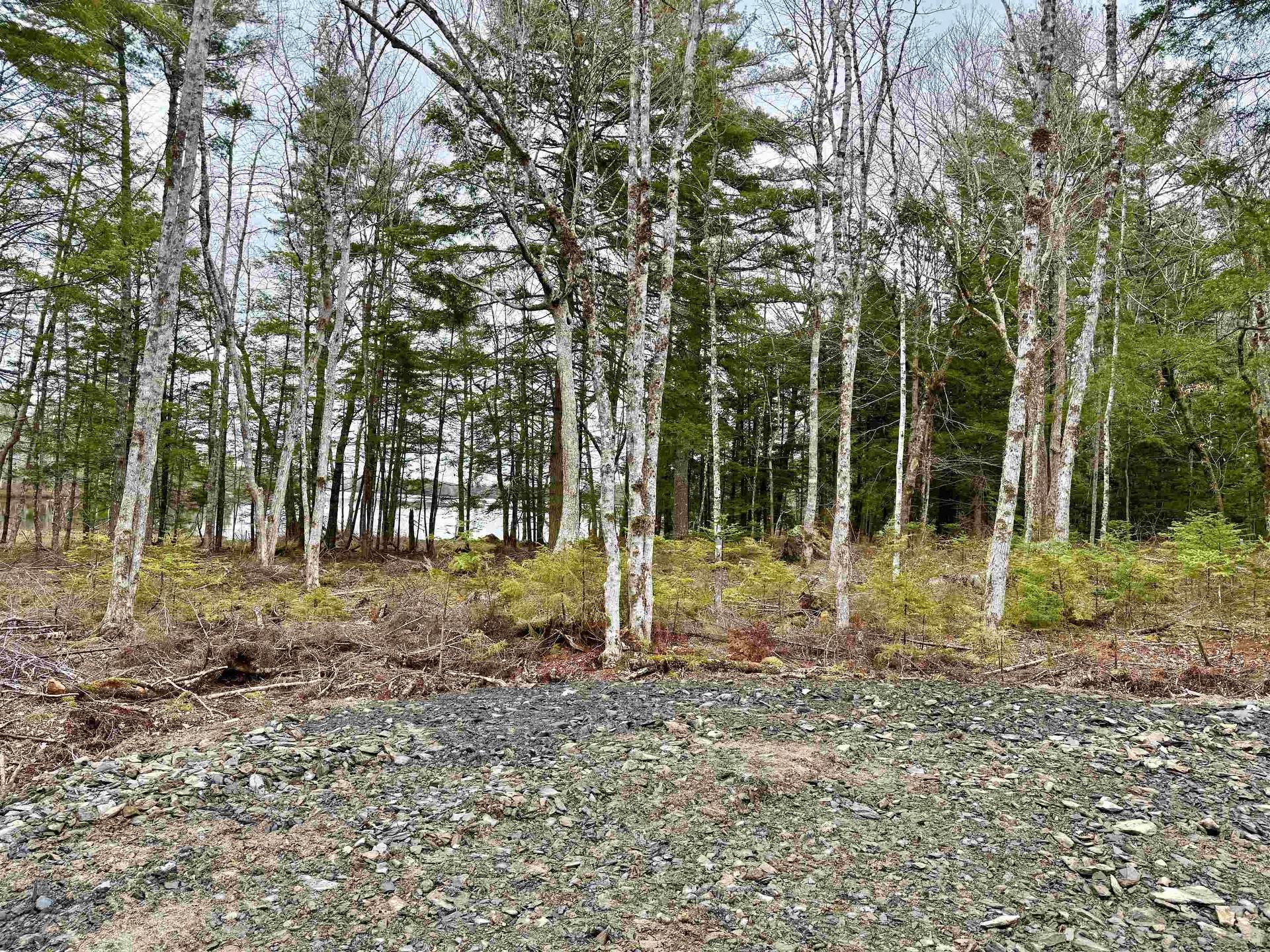 Lot 201 No 8 Highway, Milton, NS