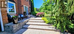Patio terrace -