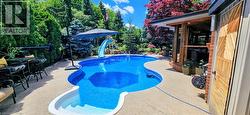 Freeform swimming pool with integrated steps, surrounded by a concrete patio -