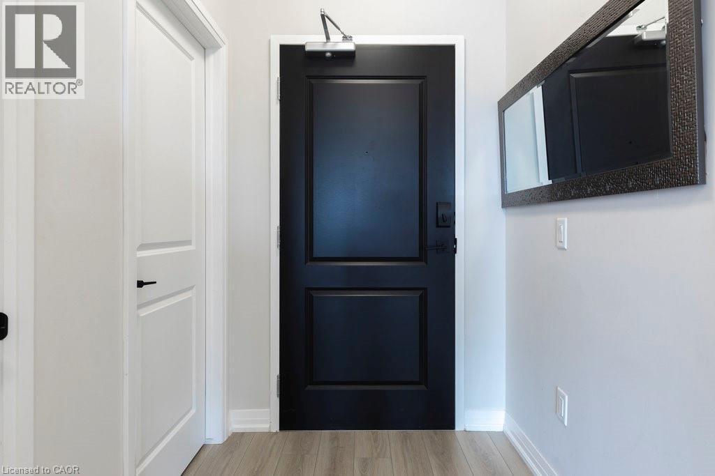Modern entryway featuring a contrasting black paneled door with a door closer, light wood-finish flooring, and a textured rectangular mirror - 120 Springvalley Crescent Unit# 208, Hamilton, ON - Indoor Photo Showing Other Room