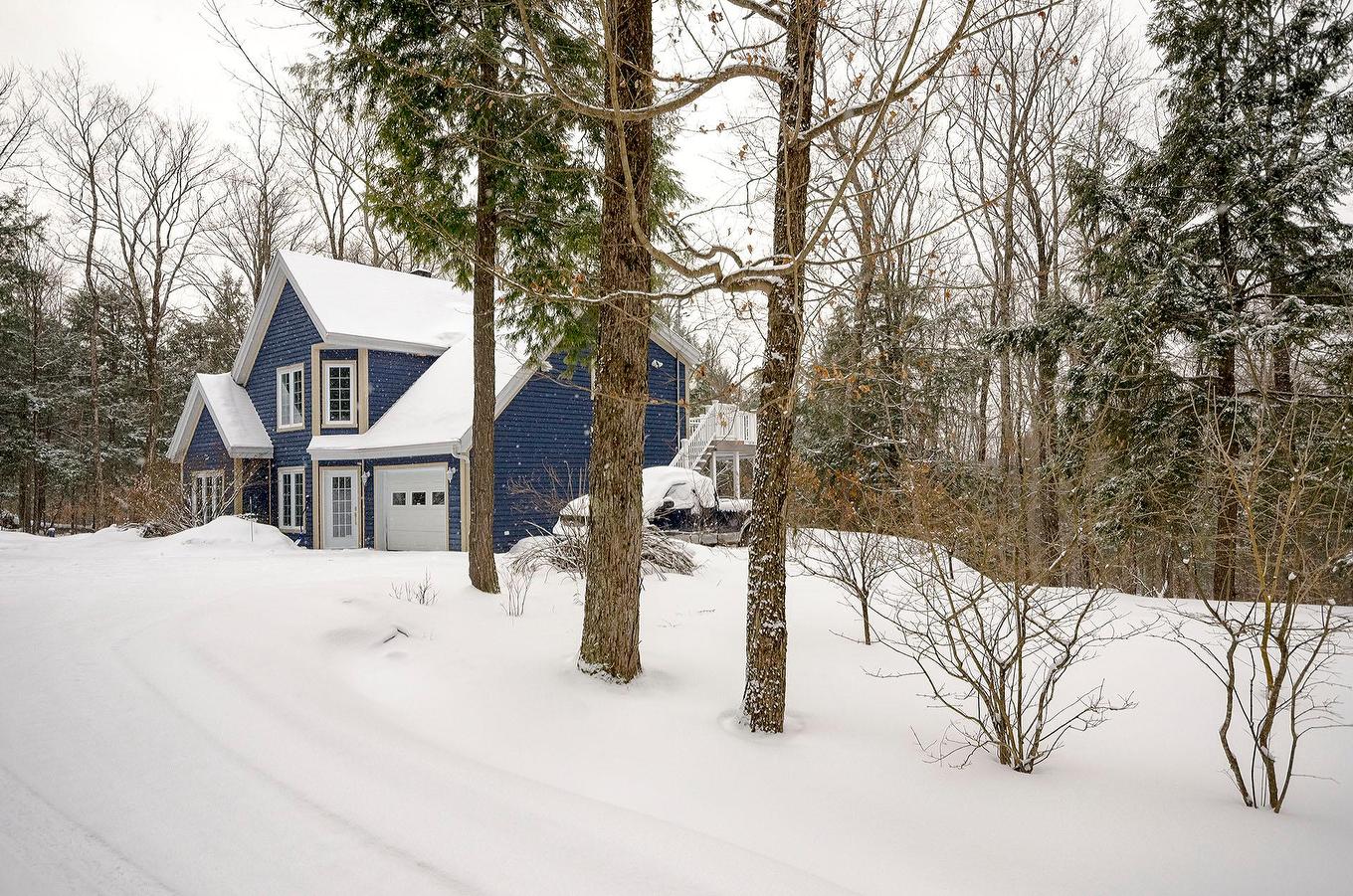 Vue d'ensemble - 191 Ch. Des Pinsons, Sutton, QC - Outdoor