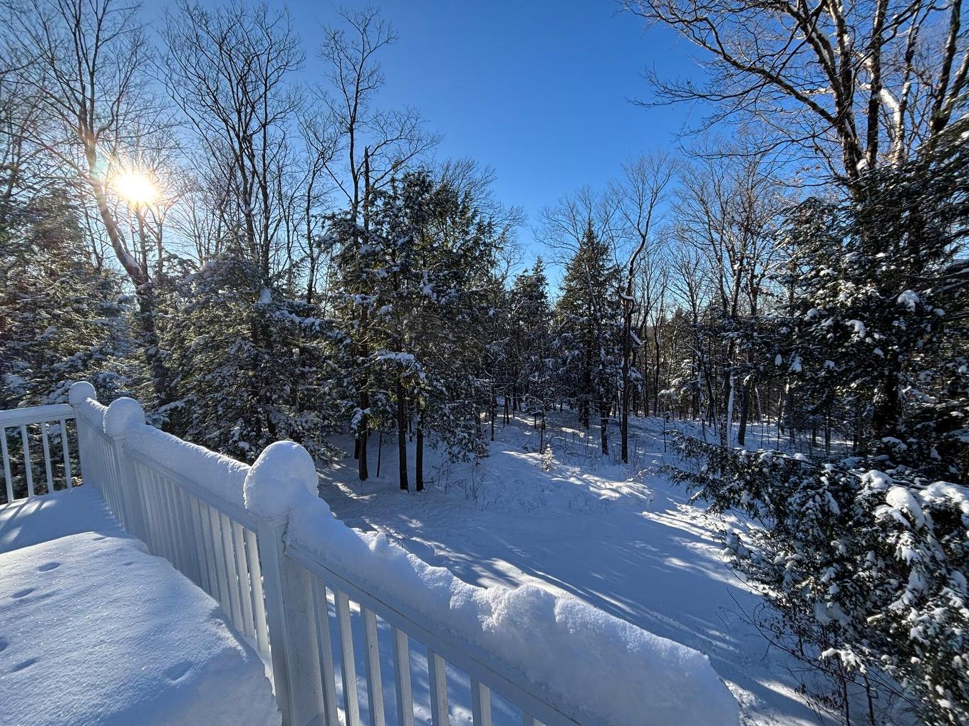 Extérieur - 191 Ch. Des Pinsons, Sutton, QC - Outdoor With View