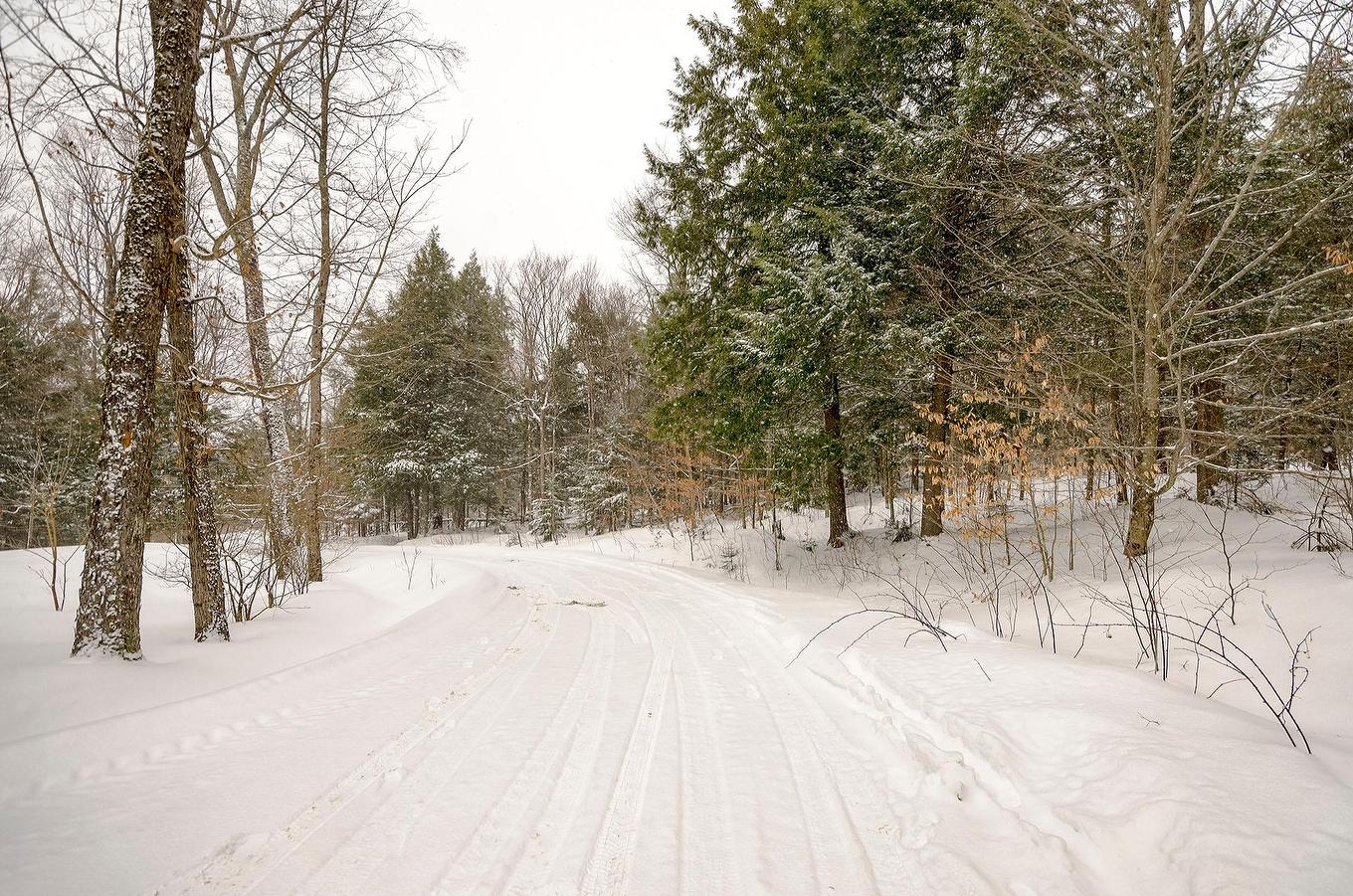 Autre - 191 Ch. Des Pinsons, Sutton, QC - Outdoor