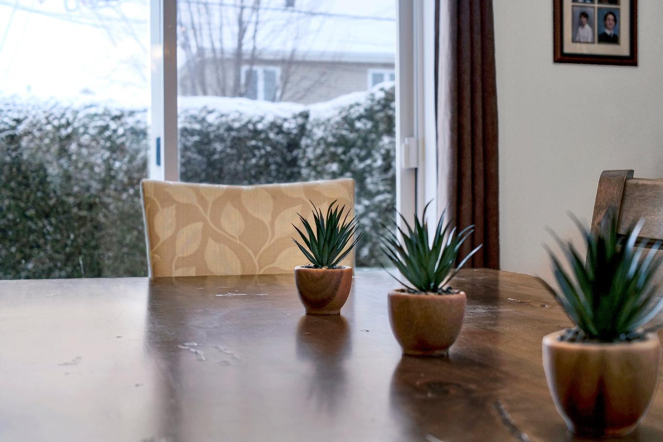Dining room - 30 Rue Hyppolite-Denaut, La Prairie, QC - Indoor