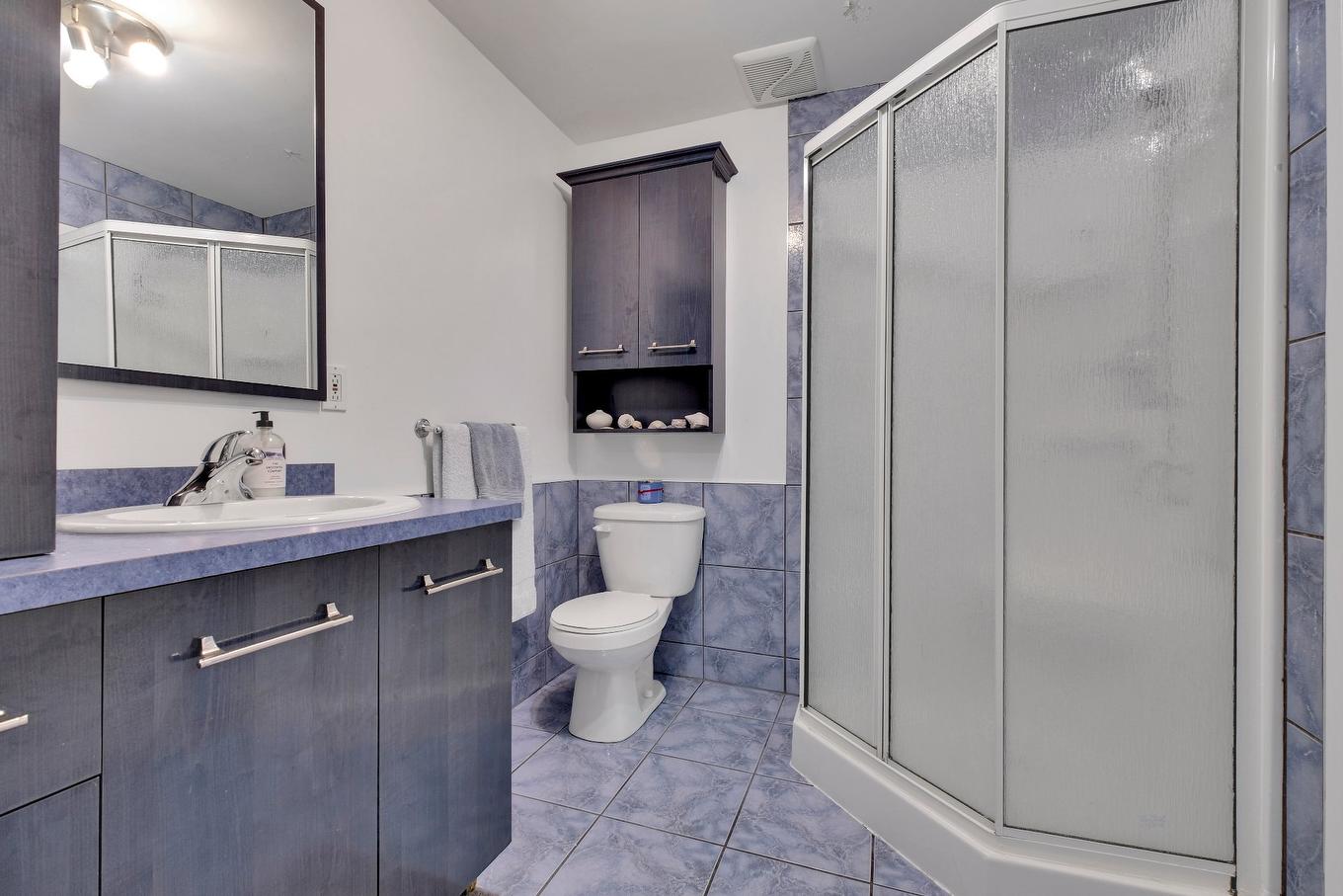 Bathroom - 30 Rue Hyppolite-Denaut, La Prairie, QC - Indoor Photo Showing Bathroom