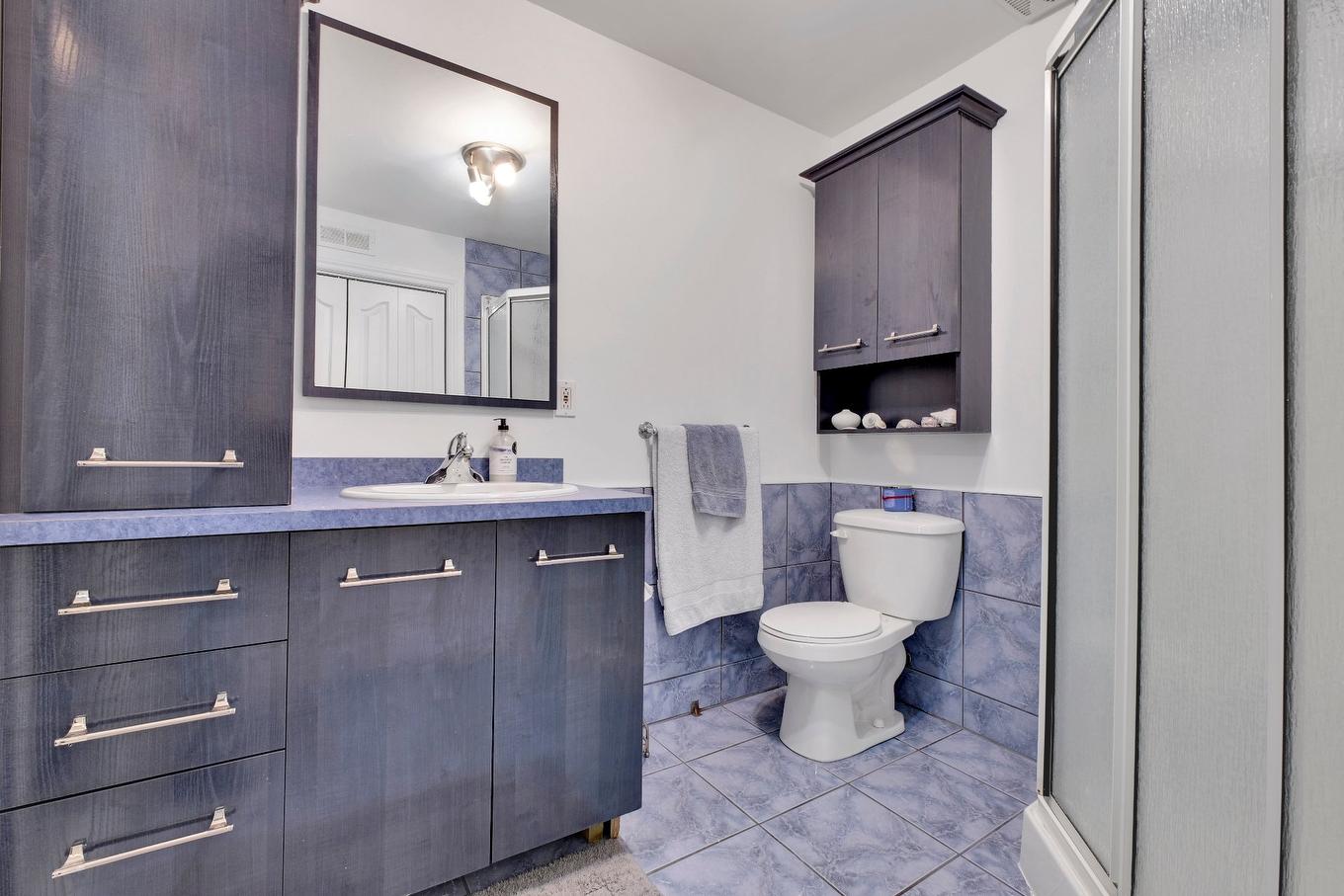 Bathroom - 30 Rue Hyppolite-Denaut, La Prairie, QC - Indoor Photo Showing Bathroom