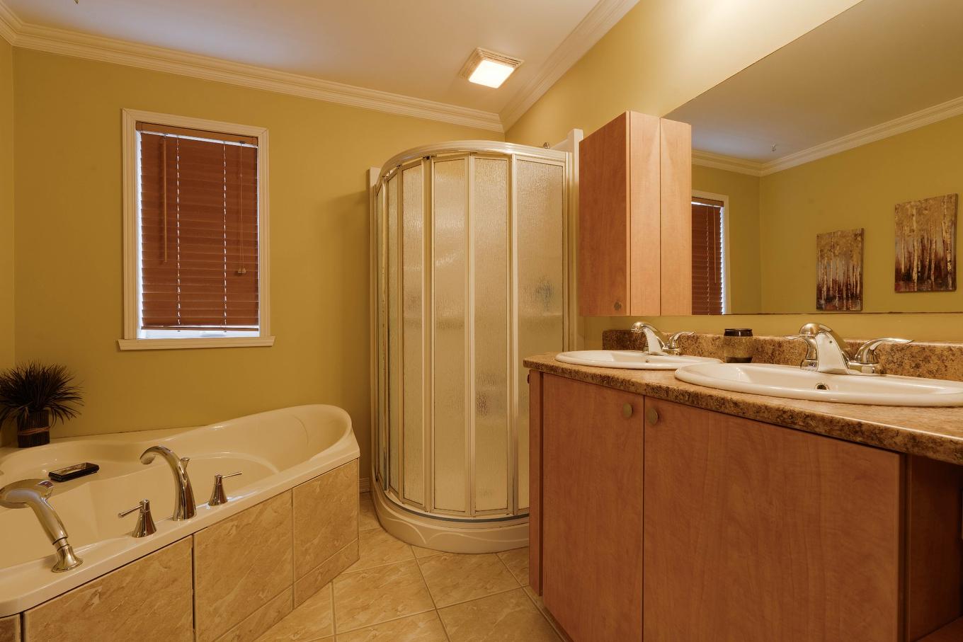 Bathroom - 80 Av. Gérard-Brunelle, Saint-Jean-Sur-Richelieu, QC - Indoor Photo Showing Bathroom