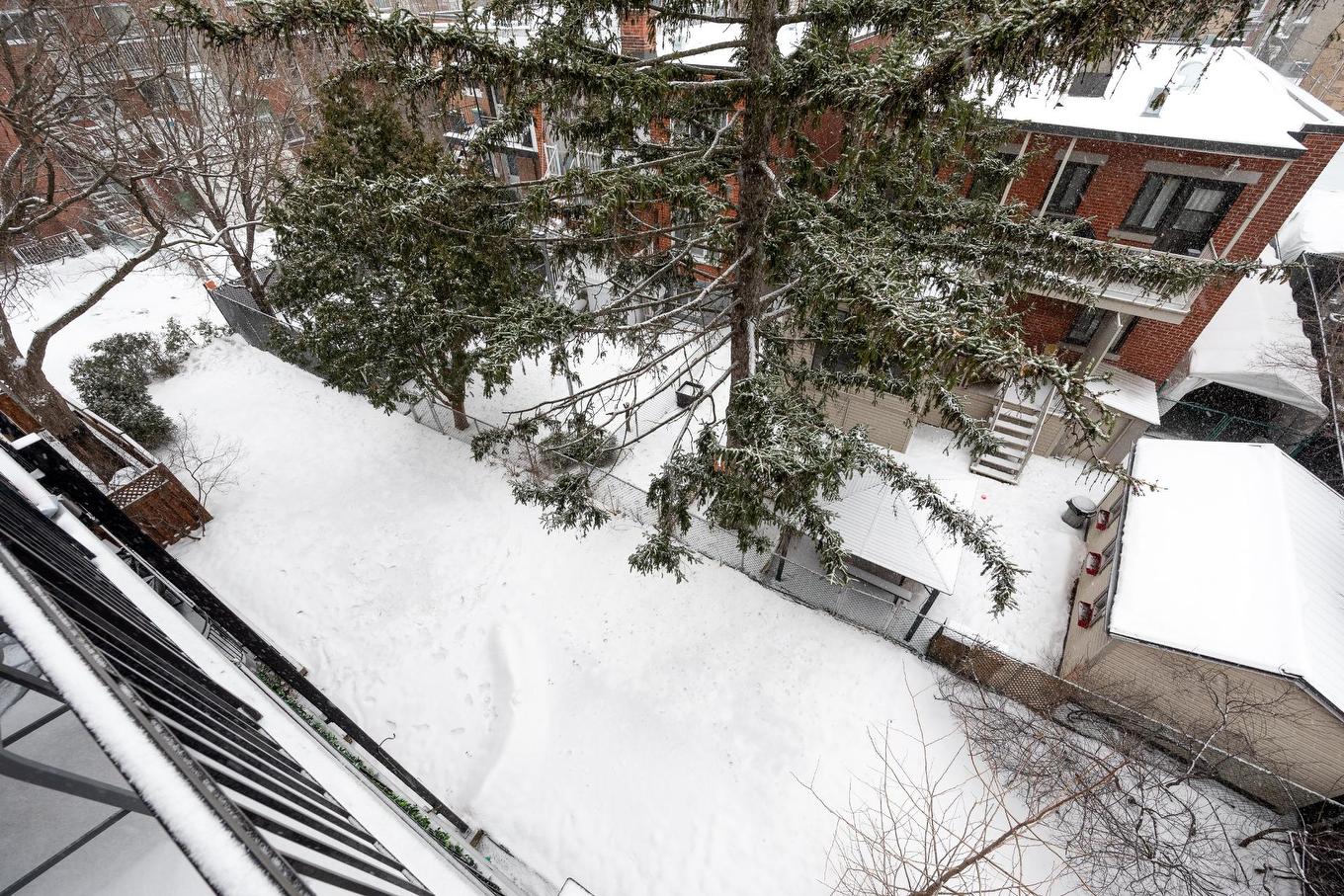 Backyard - 201-6990 30E Avenue, Montréal (Rosemont/La Petite-Patrie), QC - Outdoor