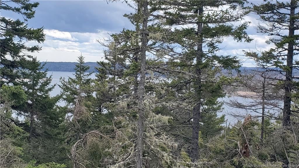 Cunningham Beach Dock Rd, Chamcook, NB