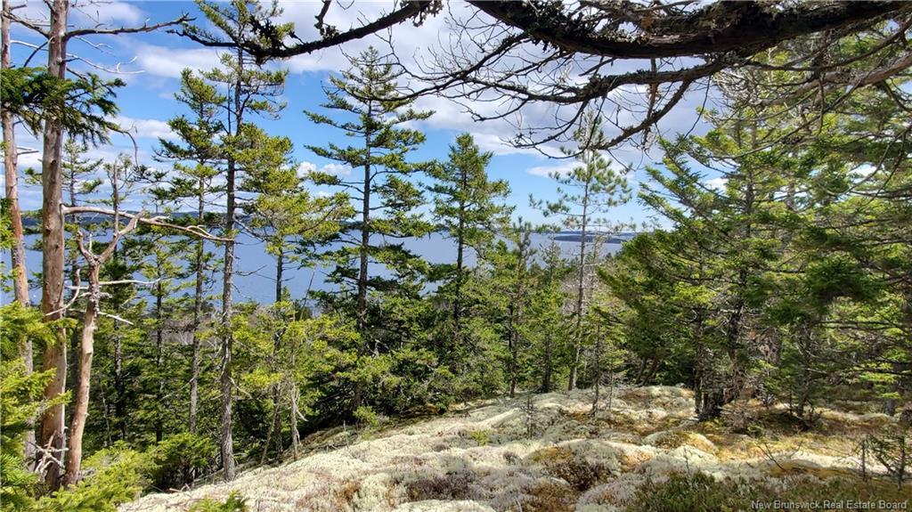 Cunningham Beach Dock Rd, Chamcook, NB