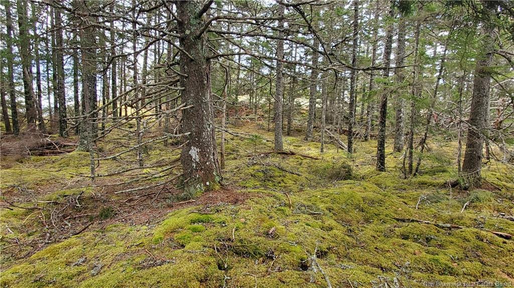 Cunningham Beach Dock Rd, Chamcook, NB