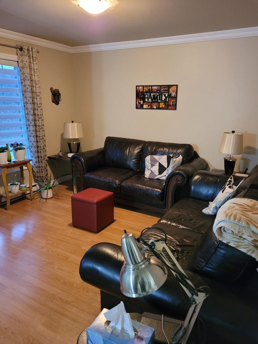 Salon - 440 - 446 Boul. St-Charles, Drummondville, QC - Indoor Photo Showing Living Room