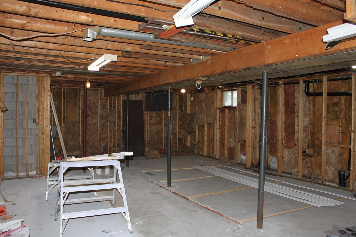 115 Robertson Street, Thunder Bay, ON - Indoor Photo Showing Basement