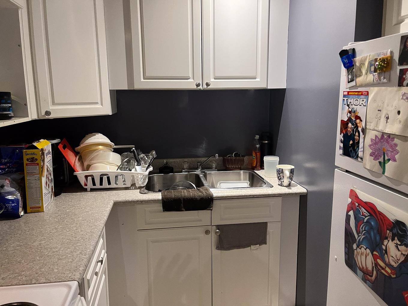 424 Third Street S, Kenora, ON