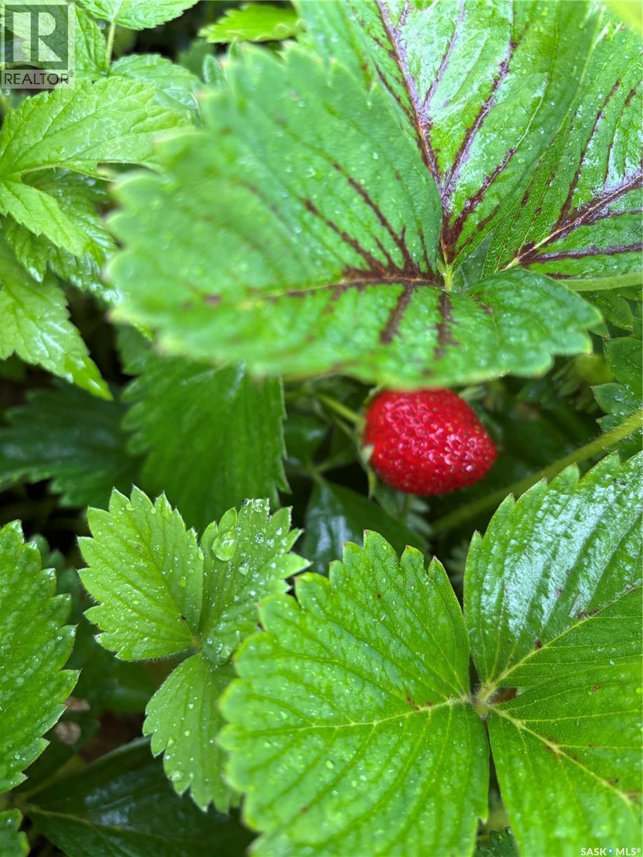 809 Weir Crescent, Warman, SK - Outdoor