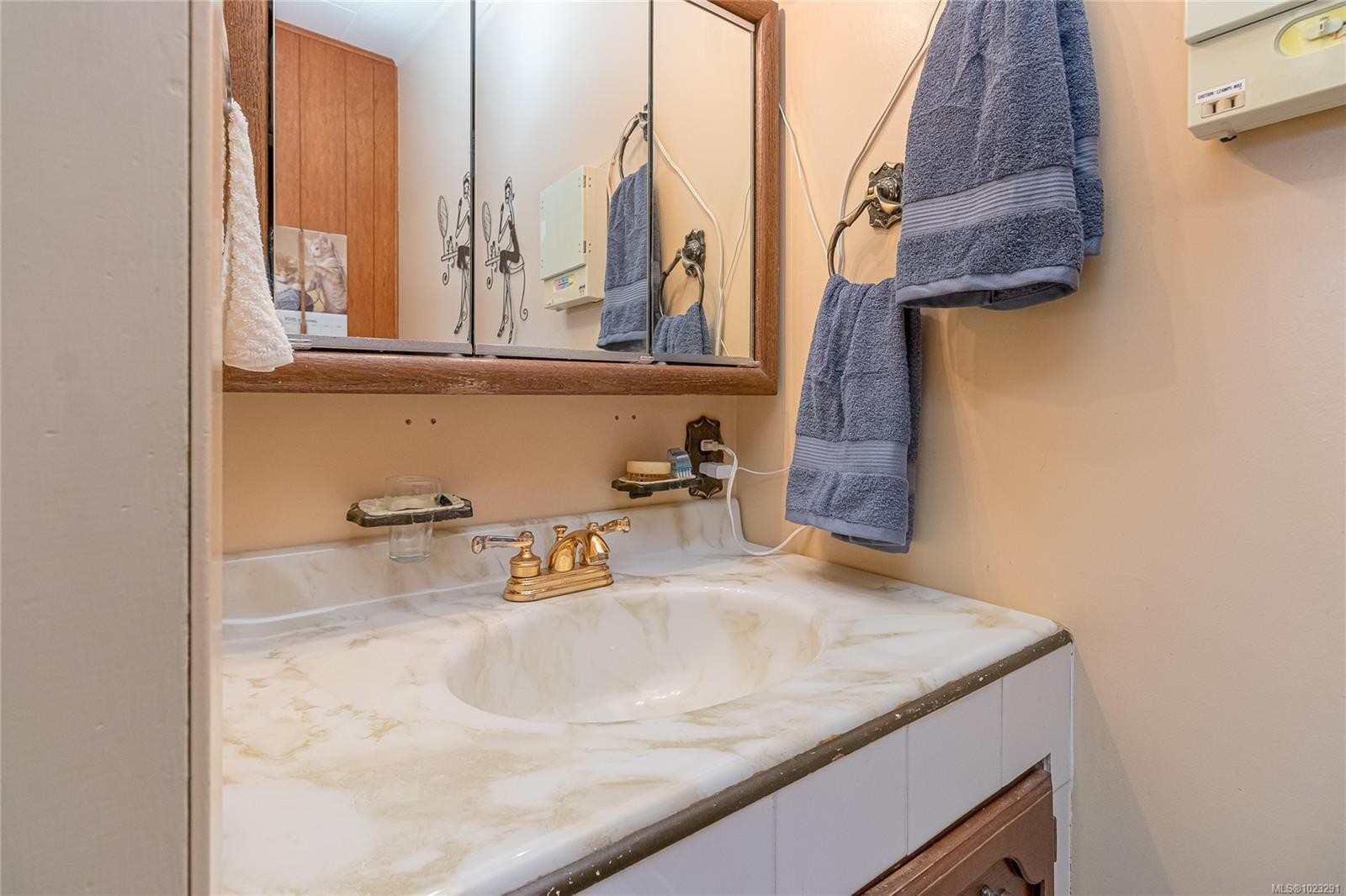 9992 Daniel St, Chemainus, BC