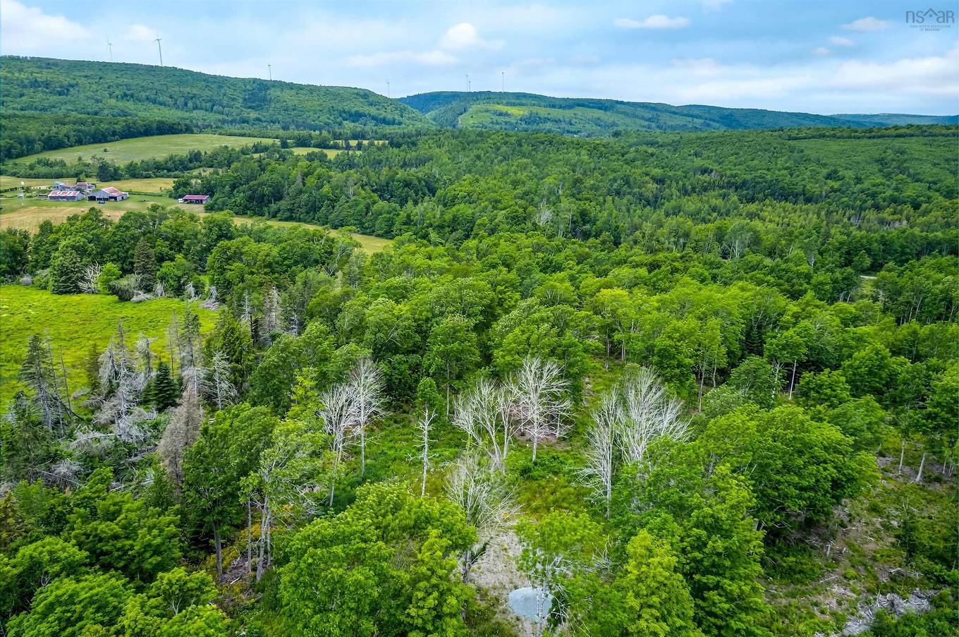 Brookland Road, Brookland, NS