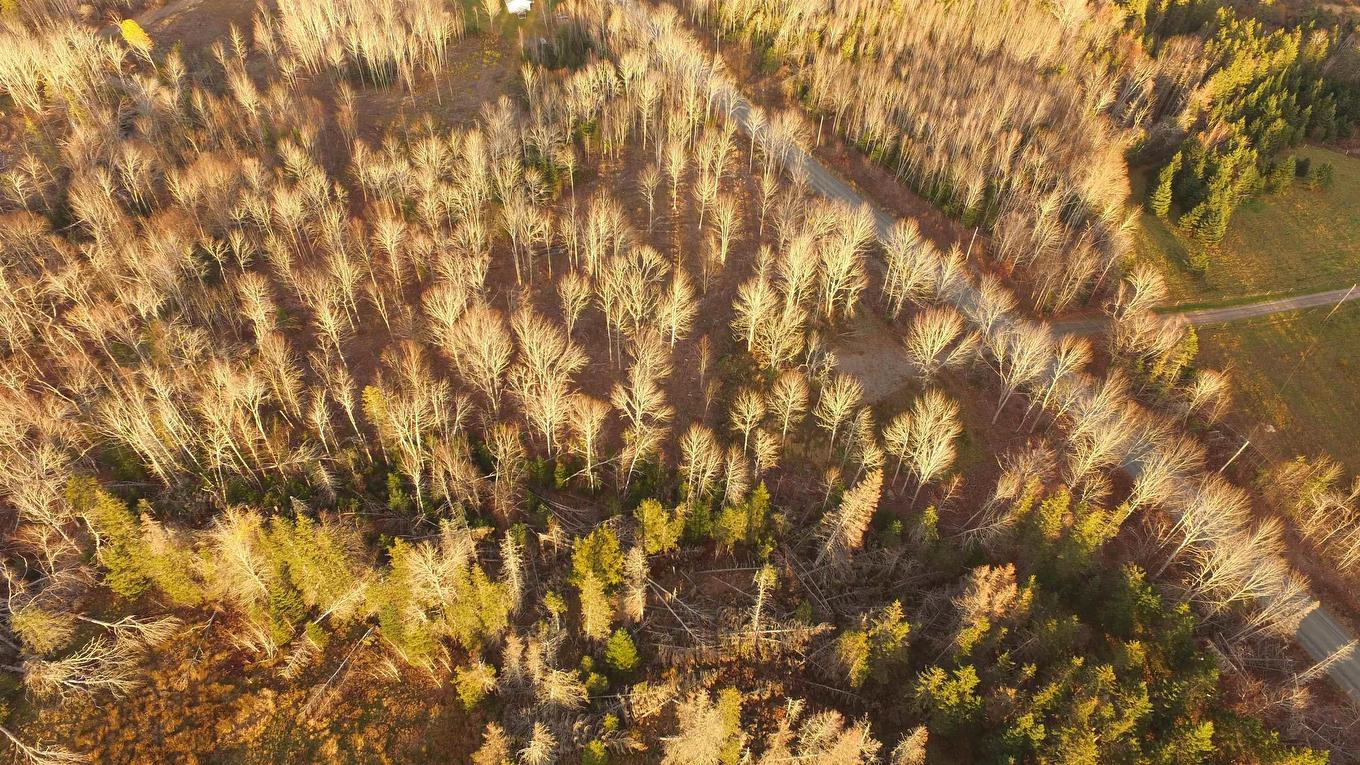 Brookland Road, Brookland, NS