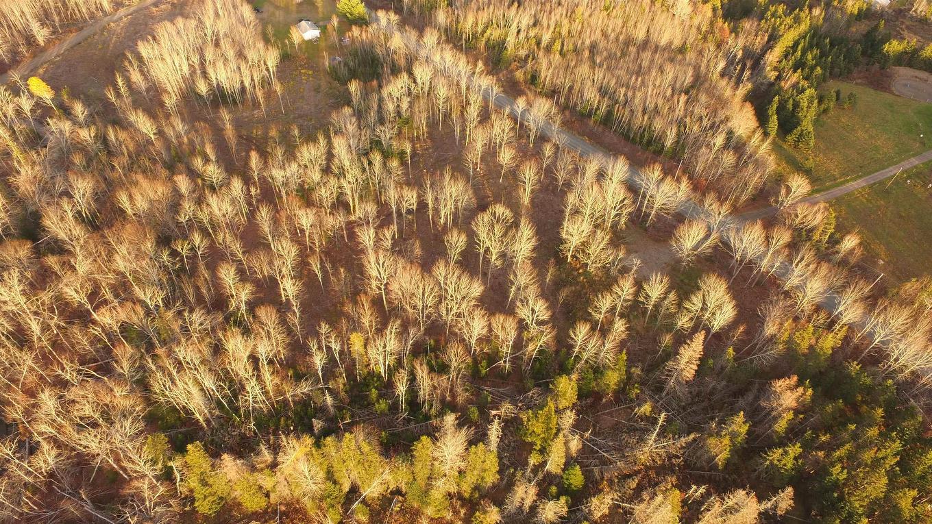 Brookland Road, Brookland, NS