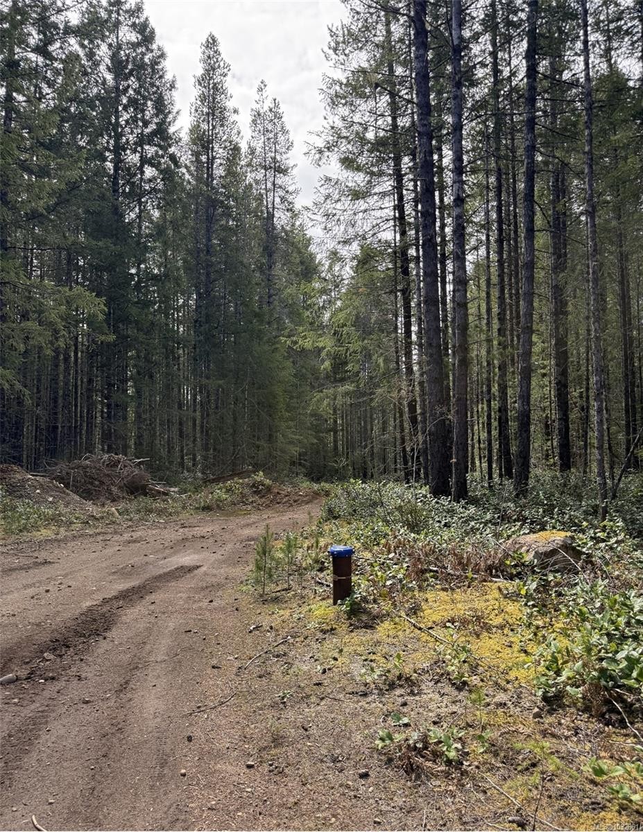 Lot B* Anderson Ave, Bowser, BC