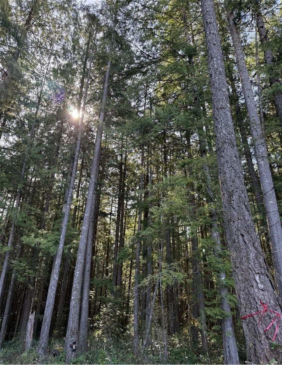 Lot B* Anderson Ave, Bowser, BC