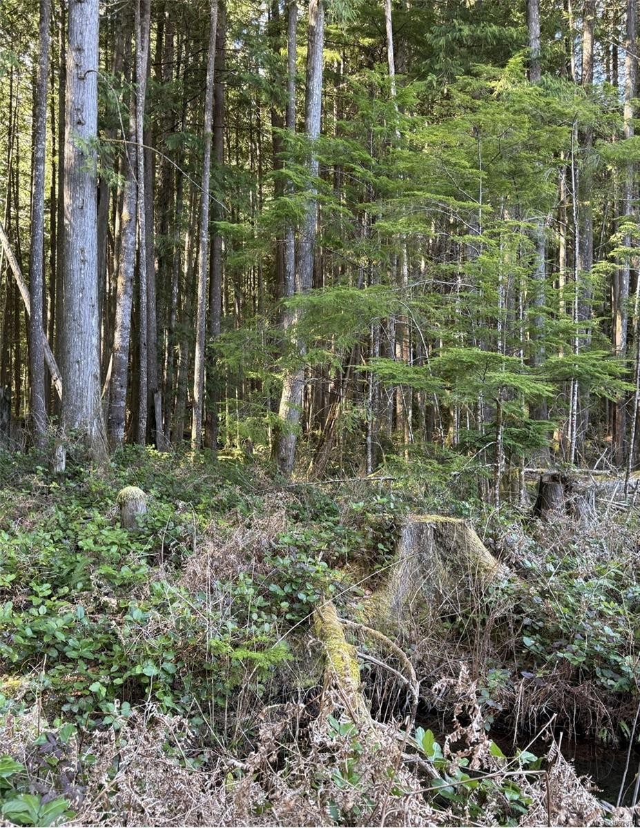 Lot B* Anderson Ave, Bowser, BC