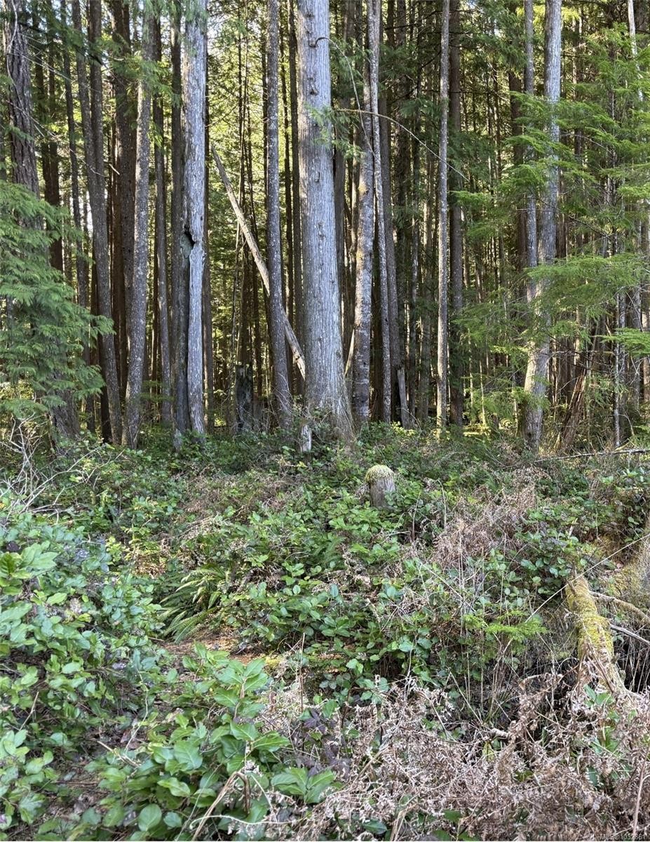 Lot B* Anderson Ave, Bowser, BC