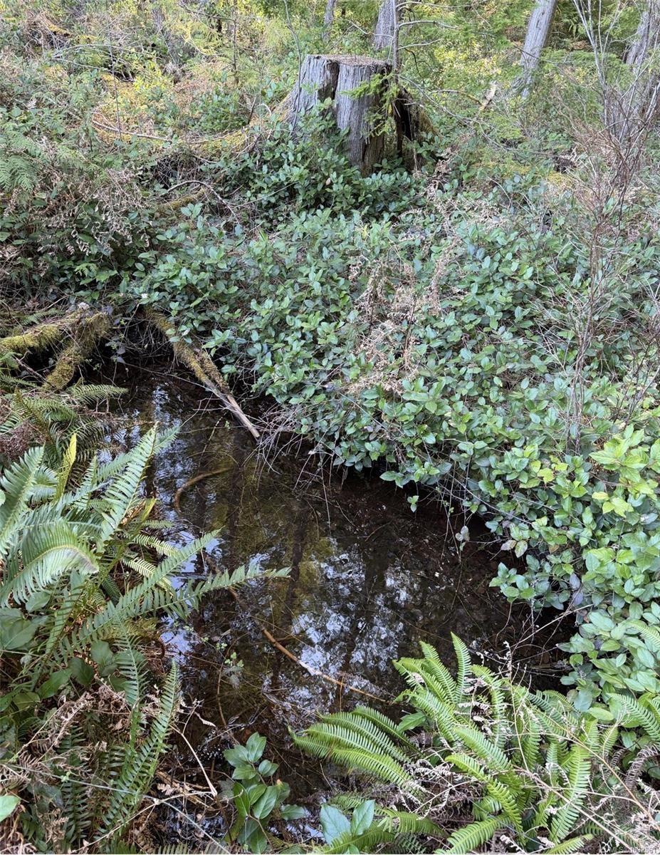 Lot B* Anderson Ave, Bowser, BC