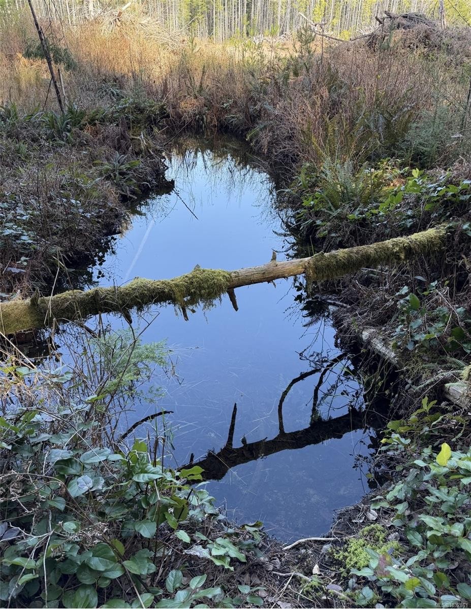 Lot B* Anderson Ave, Bowser, BC