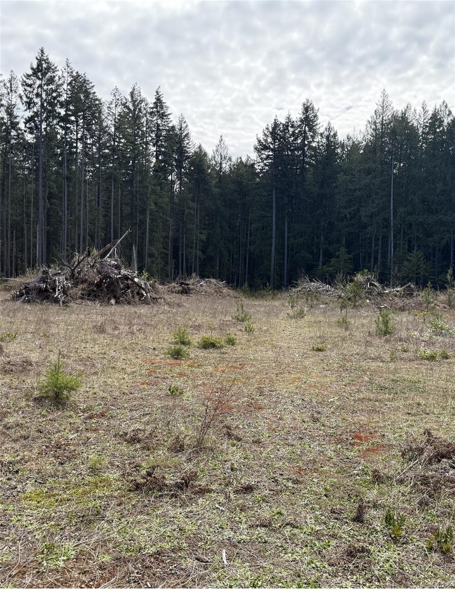 Lot B* Anderson Ave, Bowser, BC