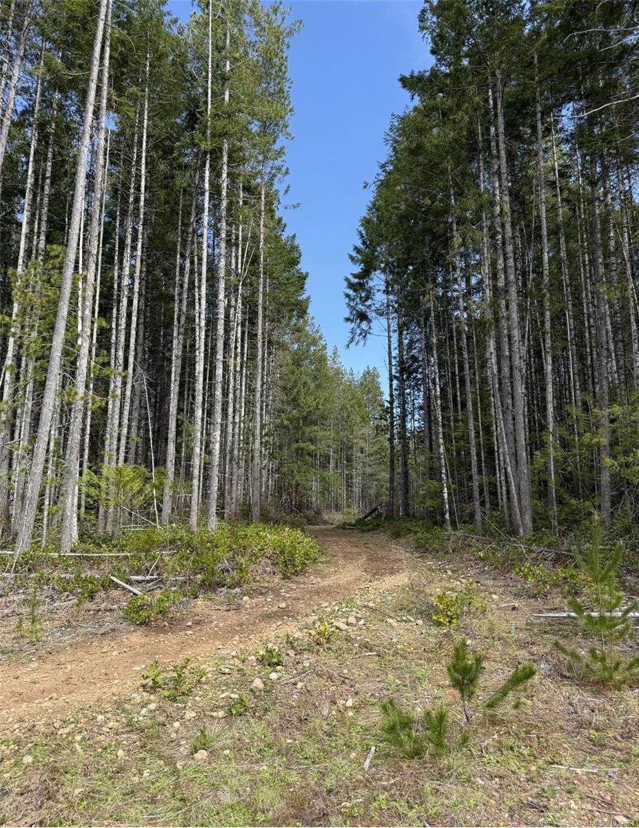 Lot B* Anderson Ave, Bowser, BC