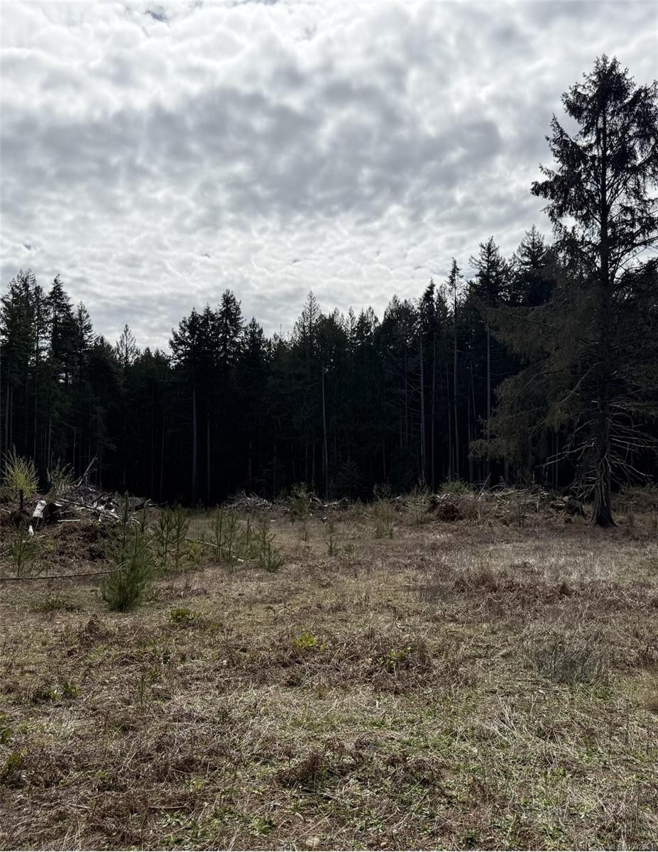 Lot B* Anderson Ave, Bowser, BC