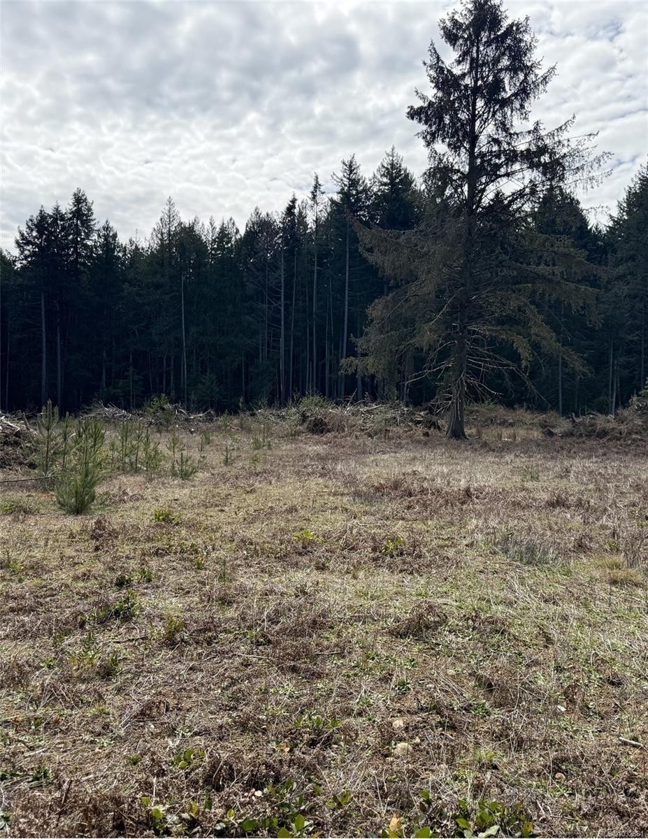 Lot B* Anderson Ave, Bowser, BC