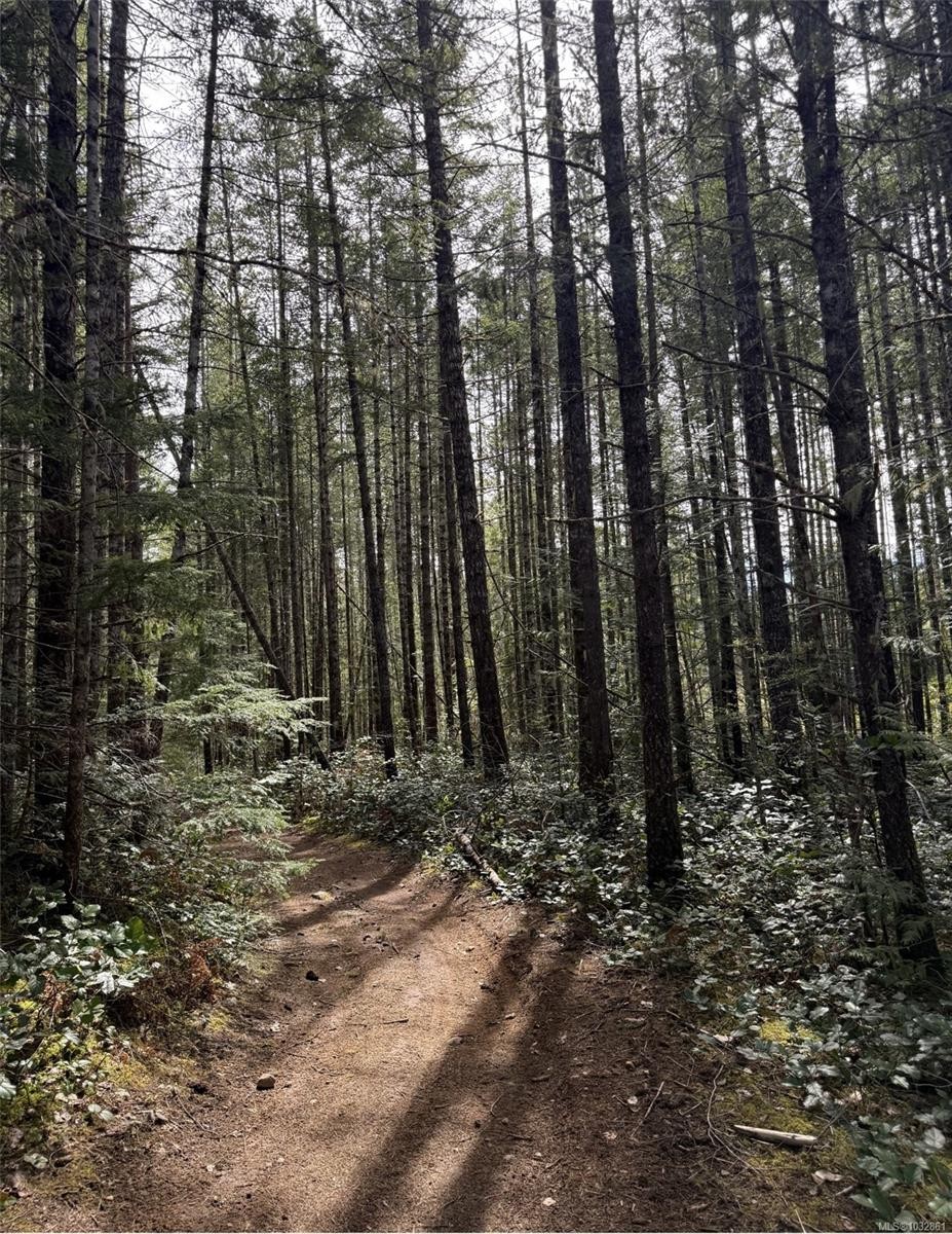 Lot B* Anderson Ave, Bowser, BC