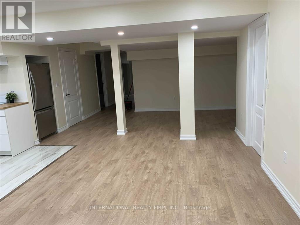 Living Room - Basement - 59 Frank Kelly Dr Frank Kelly Drive, East Gwillimbury, ON - Indoor Photo Showing Other Room