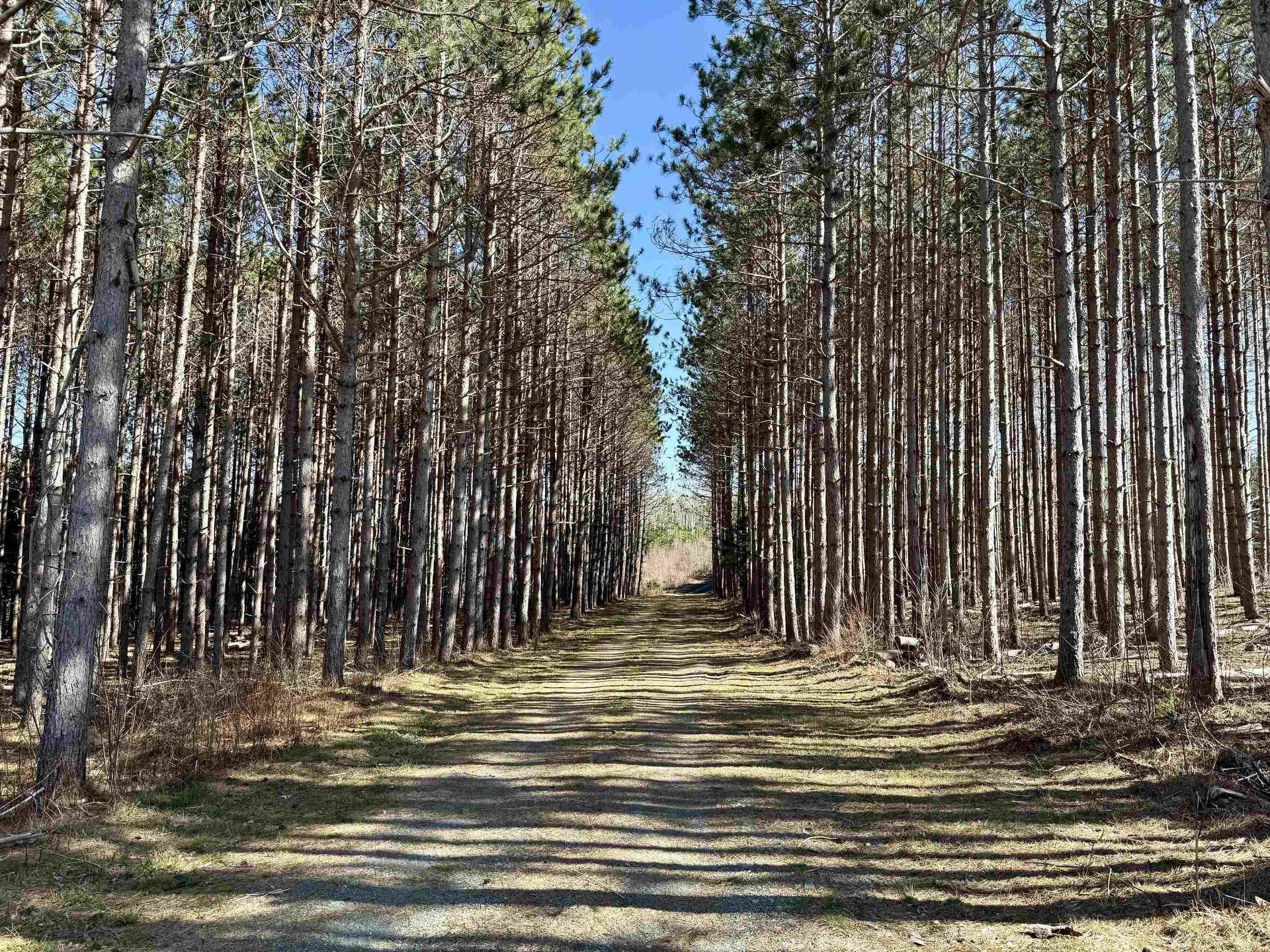 Lot 24-3 Ridge Road, North Range, NS
