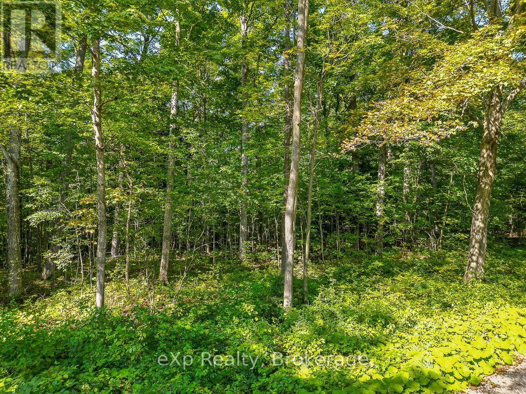 Ptlt 30 30Th Sideroad Ndr, West Grey, ON