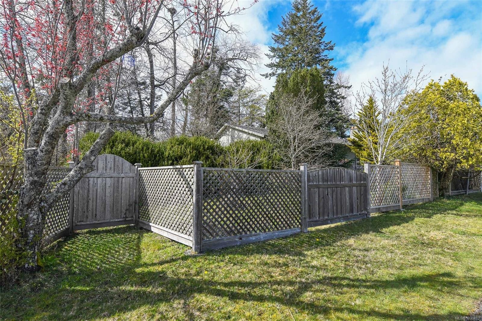 369 Douglas St, Comox, BC