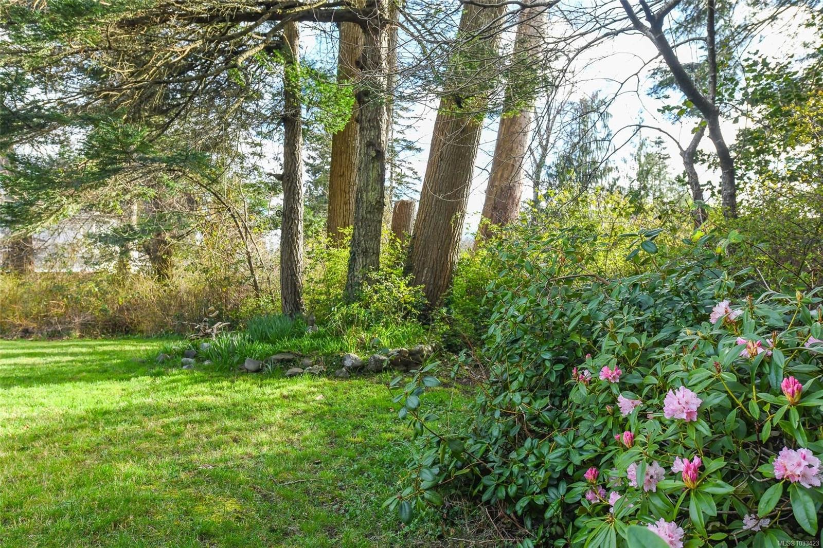 369 Douglas St, Comox, BC