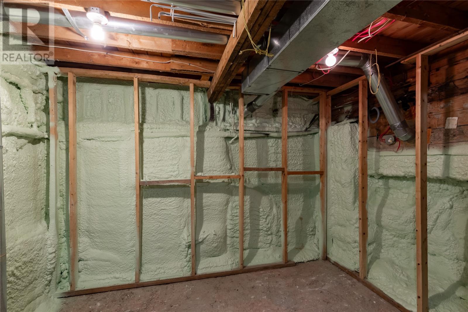 29 Greslet Place, Cbs, NL - Indoor Photo Showing Basement
