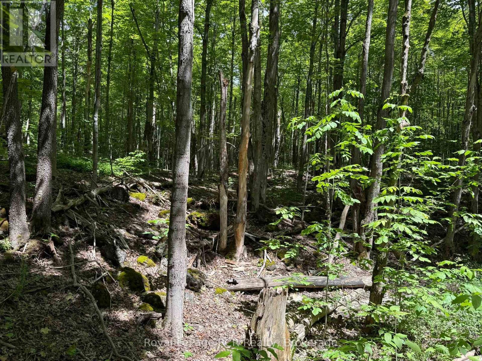 Lot 53/54 West Back Line, Chatsworth, ON