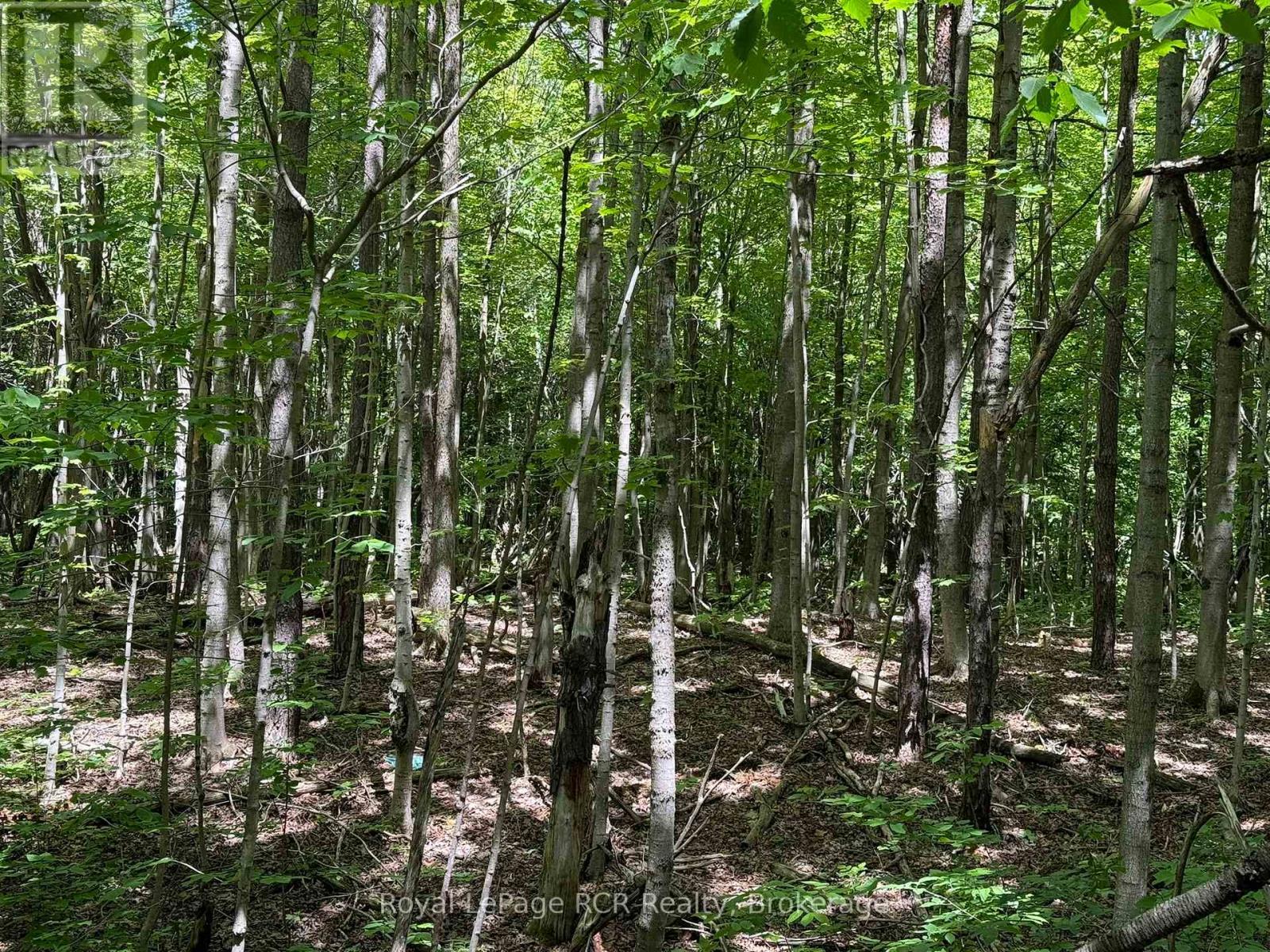 Lot 53/54 West Back Line, Chatsworth, ON