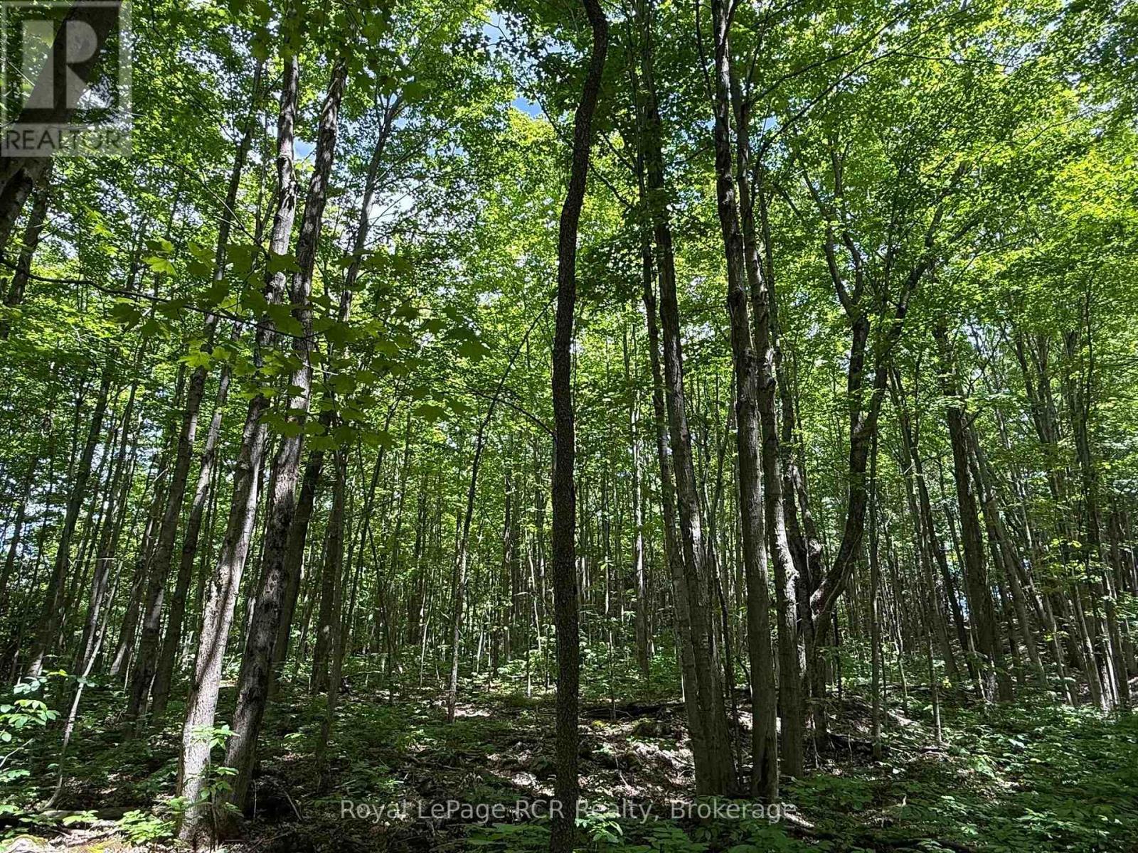 Lot 53/54 West Back Line, Chatsworth, ON