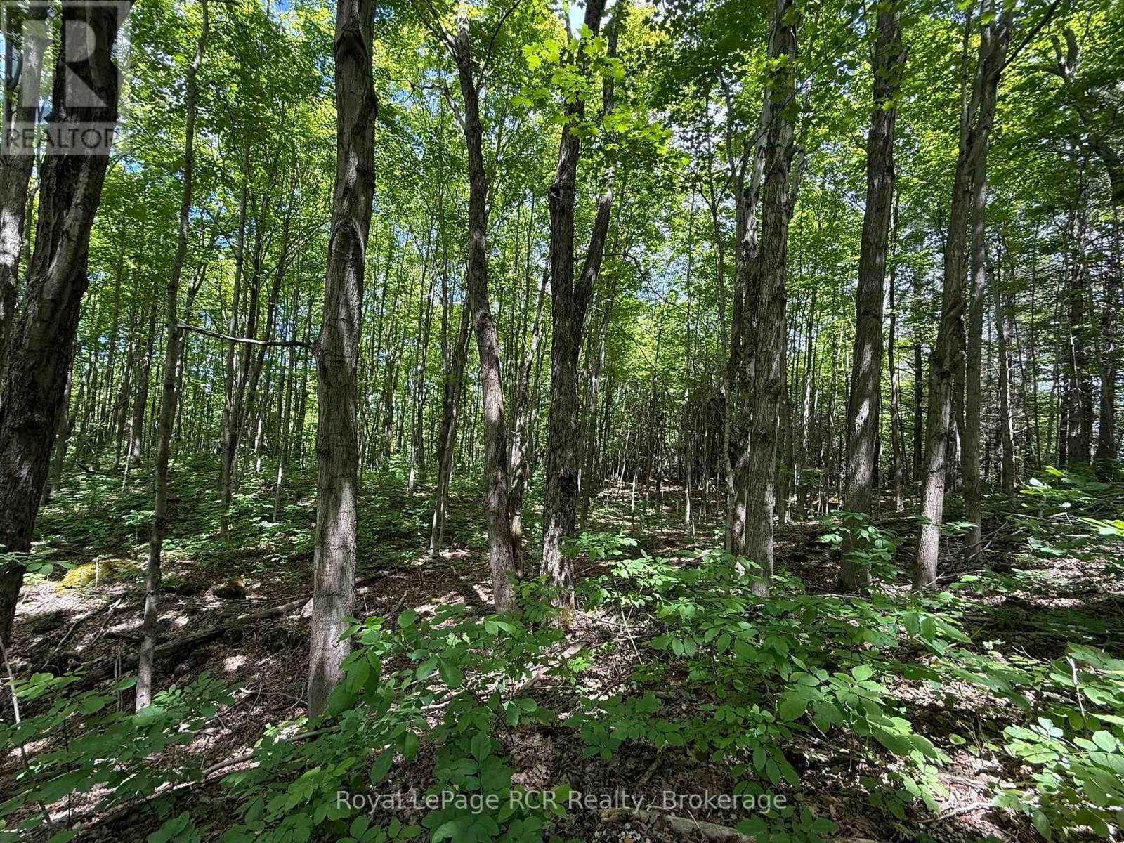 Lot 53/54 West Back Line, Chatsworth, ON