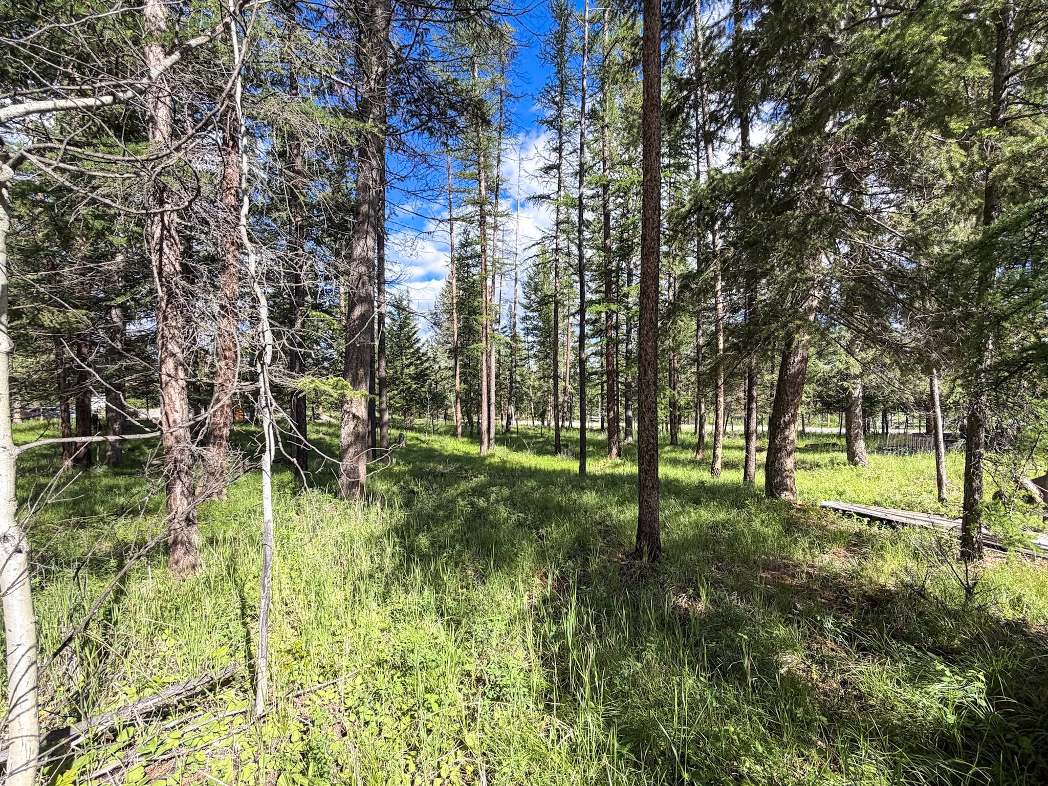 4125 21St Street, Cranbrook, BC