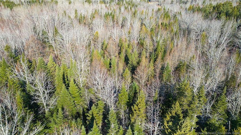 98-1 Mast Rd, Three Tree Creek, NB